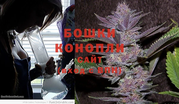 ПСИЛОЦИБИНОВЫЕ ГРИБЫ Арсеньев