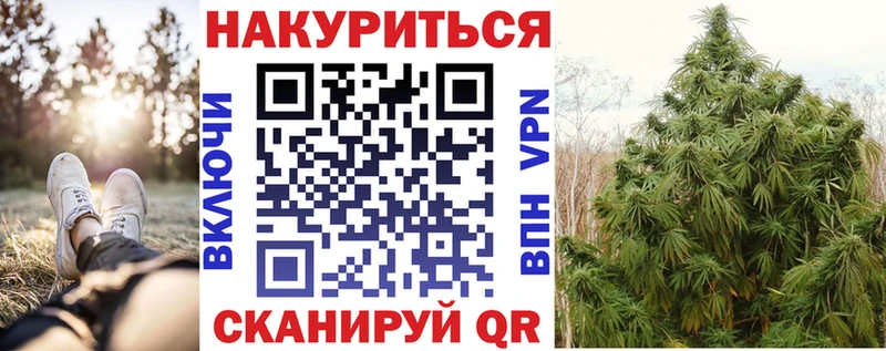 Канабис семена  Сенгилей 