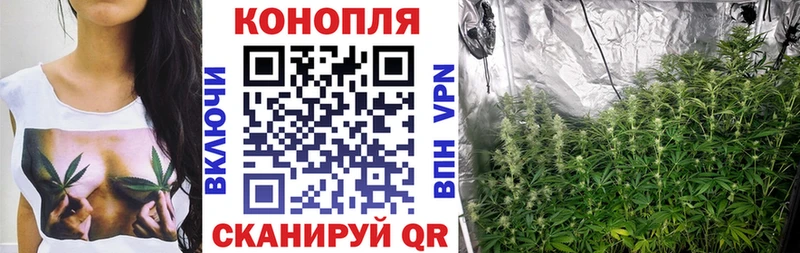 Марихуана OG Kush Сенгилей